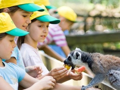 Idén is lesz ZOOSULI