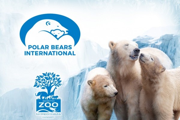 In-situ programme supported