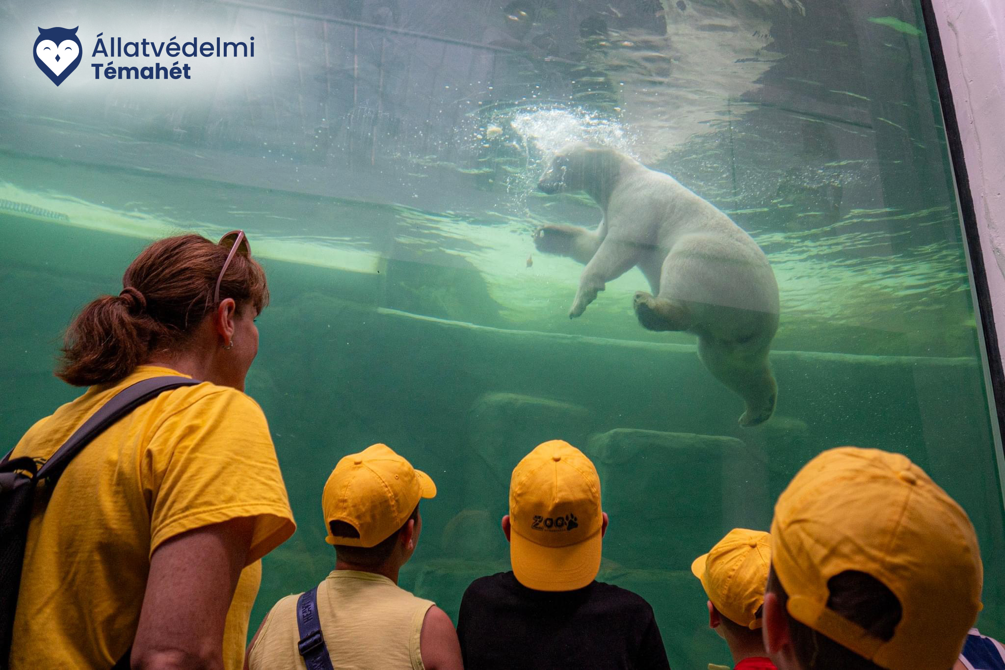 Ünnepeljük együtt az  Állatok Világnapját!