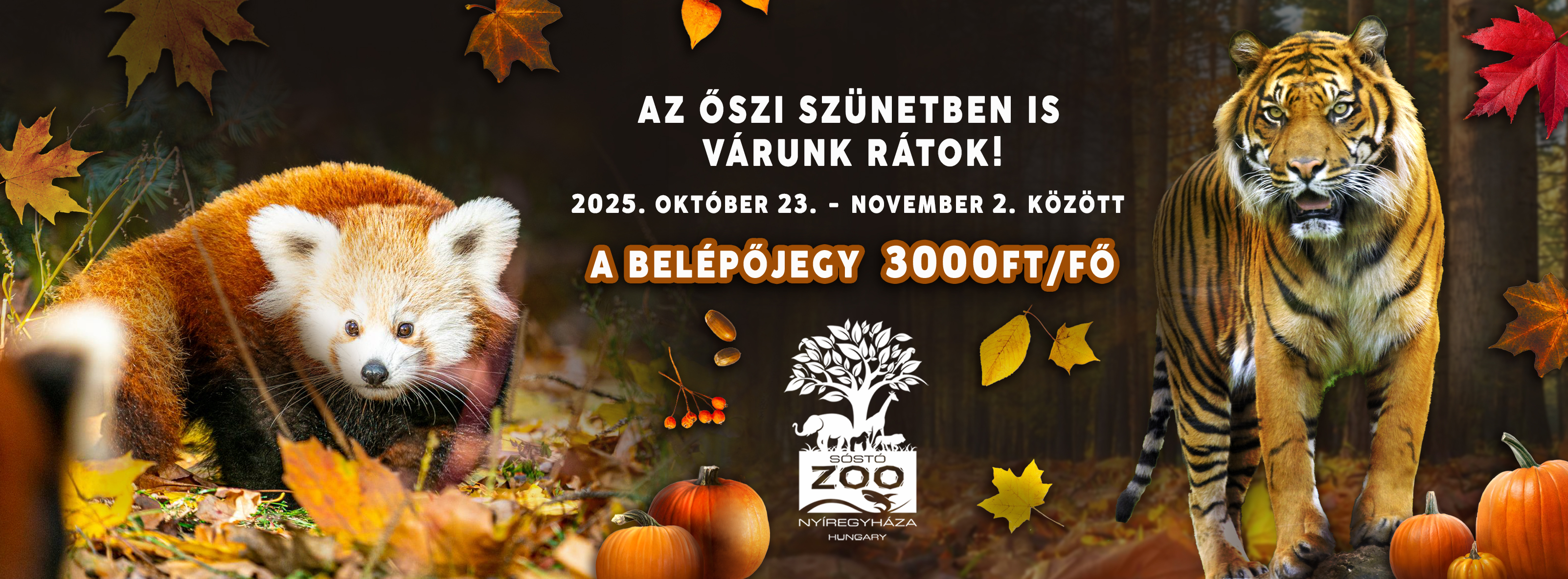 Kedvezmény az őszi szünetben Kedvezmény az őszi szünetben