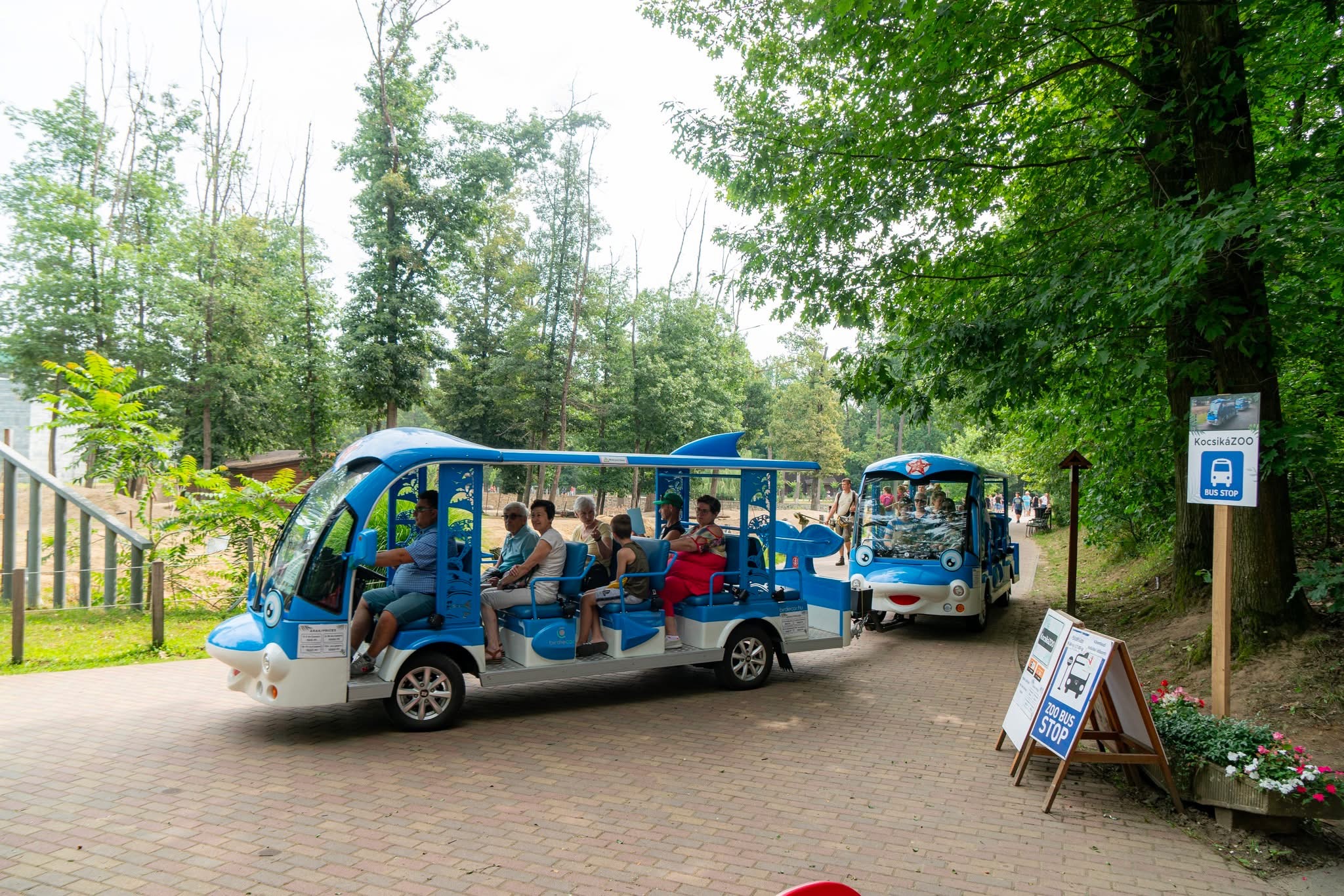 KocsikáZoo