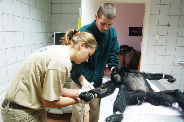 Általános orvosi vizsgálaton esett át Finita. cikk kiemelő képe