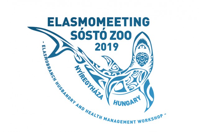 Elasmo Meeting cikk kiemelő képe
