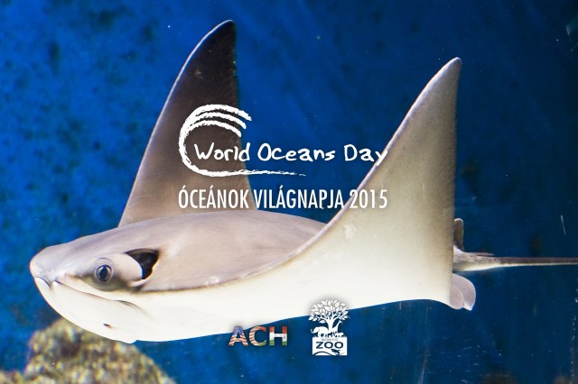 Óceánok világnapja a Nyíregyházi Állatparkban!